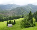 Zielone doliny i lasy Tatr, widok na kalatówki w Zakopanem.