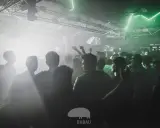 Folla in delirio in un locale, luci verdi e fumo creano un'atmosfera da dj techno anni '90.
