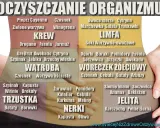 Dieta oczyszczająca 3-dniowa przepisy: lista produktów wspierających KREW, WĄTROBĘ, TRZUSTKĘ, NERKI, JELITA i LIMFĘ.