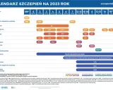 Obowiązkowe szczepienia: jak odroczyć lub uniknąć legalnie?