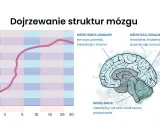 Rozwój mózgu dziecka: Kluczowe czynniki i jak je wspierać?