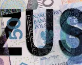 Wygrana z ZUS? Sprawdź, ile czasu ma na apelację i co robić!