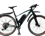 Zielony rower z napędem elektrycznym, zestaw do konwersji roweru 250w. Wyposażony w błotniki i opony z brązowymi bokami.