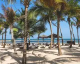 Rajska plaża w Kenii w grudniu. Palmy, leżaki i ocean tworzą idealną pogodę na wakacje.