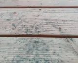 Holzbretter mit blauen Flecken, die auf Schimmelbefall hindeuten. Hier erfahren Sie, wie Sie Schimmel von Holz entfernen mit Hausmitteln.