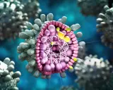 Detaljerad bild av hepatit B-virus. Inkubationstiden kan variera, men viruset sprider sig snabbt.