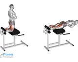 Mann führt Glute Ham Raise Übung auf einem Gerät aus, um die hintere Oberschenkelmuskulatur zu trainieren.