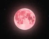 Różowy księżyc w strzelcu, otoczony milionami gwiazd, niczym kosmiczny łucznik celujący w nocne niebo.