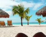 Soligt och varmt på Aruba i december. Palmer, parasoller och tomma solstolar på en vit sandstrand vid turkost hav.