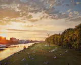 Sonnenuntergang an der Neckarwiese Mannheim. Menschen entspannen im Gras, während die Sonne hinter Industriegebäuden untergeht.