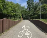 Ścieżka rowerowa w parku Młynówka Królewska, z zielenią po bokach i znakiem rowerzysty na kostce brukowej.