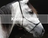 Ein graues Pferd trägt ein Knotenhalfter. Der Knoten ist deutlich sichtbar.