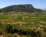 Vastes vignobles en terrasses au pied d'une montagne rocheuse sous un ciel bleu.