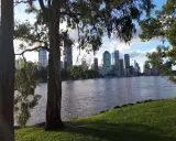 Vista del grande porto australiano con grattacieli sullo sfondo, alberi in primo piano e un fiume tranquillo.
