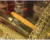 Ein gelber, segmentierter Wurm, der an einen **tequila wurm** erinnert, liegt in einer goldenen Flüssigkeit neben einer strukturierten Oberfläche.