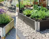 En pallkrage med lavendel och en annan med örter visar hur fin samplantering pallkrage kan vara.
