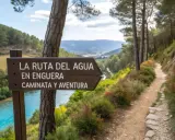 Cartel de "La Ruta del Agua en Enguera" indica un sendero para caminata y aventura junto a un río turquesa y un bosque frondoso.