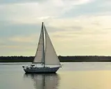 Un voilier blanc navigue sur une eau calme, ses voiles gonflées par le vent. La composition du bateau, avec la ligne d'horizon et le ciel doux, crée une scène paisible.