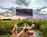 Pole kukurydzy i droga w słońcu, z ciemnymi chmurami na niebie, częściowo zasłoniętymi przez filtr połówkowy.