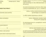 Świadectwo pracy w trakcie zatrudnienia? Kiedy to możliwe?
