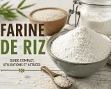 Guide complet sur la farine de riz : par quoi remplacer la farine de riz, ses utilisations et astuces. Gros plan sur des bols de riz et de farine.