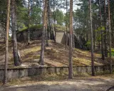 Betonowe bunkry w lesie, pozostałości po dag krzystkowice, porośnięte mchem i otoczone sosnami.
