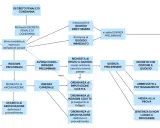 Schema del processo penale italiano: dalla notizia di reato al giudizio, con opzioni come il patteggiamento (gup significato).