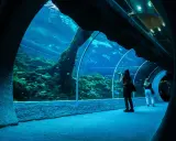 Orientarium Łódź: Opinie, ceny, tłumy. Czy warto jechać?