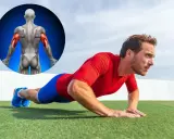 Mann macht Liegestütze, um seinen Trizeps zu trainieren. Ein anatomisches Bild zeigt die beanspruchten Muskeln.
