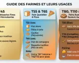 Guide des farines : la T150, idéale pour pains rustiques et saveurs authentiques, offre goût puissant et caractère. Parfaite avec fromages et plats en sauce.