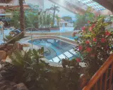 Ein tropisches Paradies im h2o schwimmbad mit Palmen, üppiger Vegetation und einem einladenden Poolbereich.
