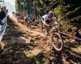Wyścig mtb xc to adrenalina na kamienistym zjeździe. Kolarze walczą o każdy metr, a widzowie kibicują.