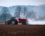 Czerwony traktor z przyczepą rozsypuje nawóz na polu. To przygotowanie gleby, by warzywa lubiące wapnowanie, jak pomidory czy kapusta, dobrze rosły.