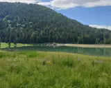 Prato fiorito e verdeggiante che si estende verso il lago di Lova, incastonato tra una rigogliosa foresta di conifere e un cielo azzurro con nuvole bianche.