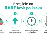 Przejście na BARF krok po kroku: małe porcje, stopniowe zwiększanie, cierpliwość i obserwacja reakcji kota. Jak karmić kota zdrowo!