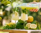 Zwei Gläser mit erfrischendem Limoncello Spritz, garniert mit Zitrone und Minze. Frische Zitronen und Blätter umgeben die Gläser.