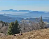 Widok na Beskid Wyspowy z kilkoma osobami odpoczywającymi na zboczu. W oddali widać kolejne pasma górskie w lekkiej mgle.