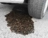 Kühlflüssigkeit Klimaanlage Auto nachfüllen: So vermeiden Sie teure Schäden
