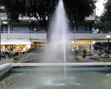 Fontana z fontanną w centrum Lido di Savio, z widokiem na sklepy i drzewa.