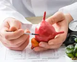 Lekarz omawia model pęcherza, wyjaśniając problemy związane z pęcherzem neurogennym. Obok leżą stetoskop i ciśnieniomierz.
