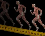 Anatomia biegu: jakie mięśnie pracują podczas biegania. Trzy sylwetki biegaczy ukazujące pracujące mięśnie, na tle miarki.