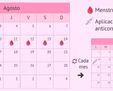 Calendario de agosto y septiembre con gotas rojas para menstruación y jeringa para anticonceptivos inyectables.