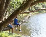 Dos niños disfrutan de un día soleado en Irlanda, sentados en una rama de árbol junto a un lago.
