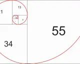 Sekwencja Fibonacciego tworzy spiralę, ilustrując złoty podział. Liczby 1, 1, 2, 3, 5, 8, 13, 21, 34, 55 tworzą kwadraty.