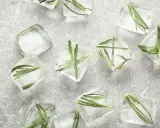 Rosmarin einfrieren: Frische Kräuter in Eiswürfeln für aromatische Cocktails und Gerichte.
