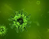 Virus verdi luminosi su sfondo verde scuro, che ricordano l'influenza suina.
