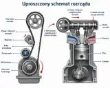 Schemat rozrządu silnika. Dowiedz się, co ile wymienia się rozrząd w dieslu, aby zapewnić jego prawidłowe działanie.