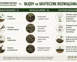 Skuteczne zwalczanie chwastów: plewienie po deszczu, wyciąganie całych korzeni, izolacja gleby UV i metoda No-Dig. Unikaj błędów w pielęgnacji.