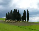 Cipressi iconici su una collina vicino a San Quirico d'Orcia, con cielo nuvoloso e campi verdi.
