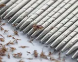 Un pettine metallico con denti ravvicinati mostra uova di pidocchi morte e detriti.